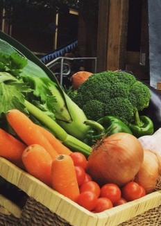 Carrots, potatoes, broccoli and tomatoes in a basket